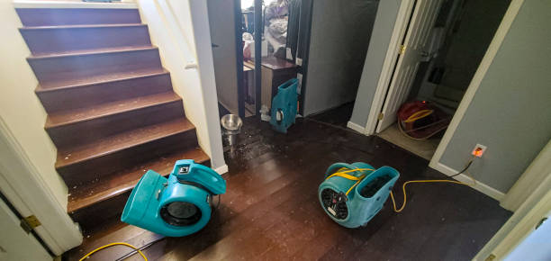 Best Carpet water damage restoration  in Alvin, TX
