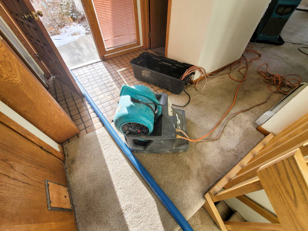Best Water damage cleanup near me  in Alvin, TX