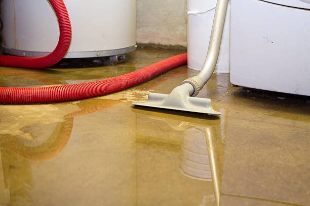 Best Local water damage restoration  in Alvin, TX