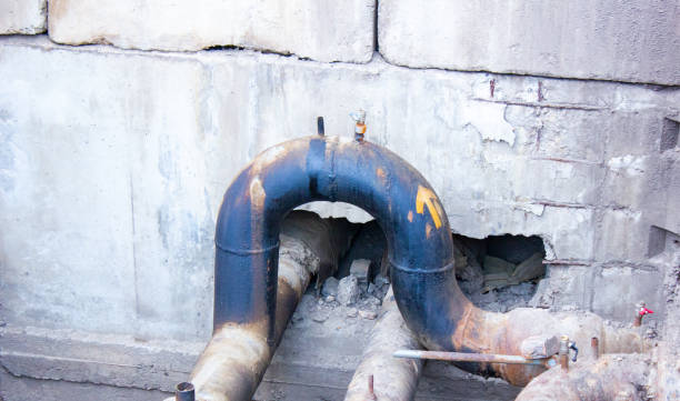 Best Mold removal after water damage  in Alvin, TX